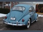 Thumbnail Photo undefined for 1962 Volkswagen Beetle